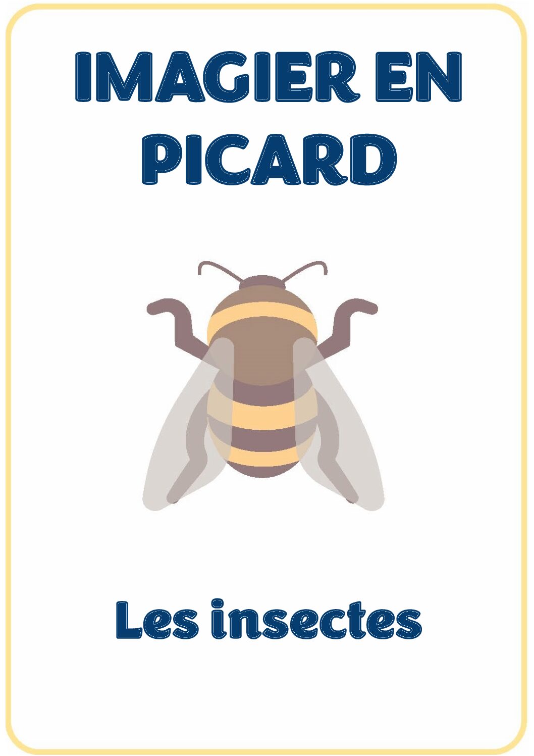 Flashcards - Les insectes